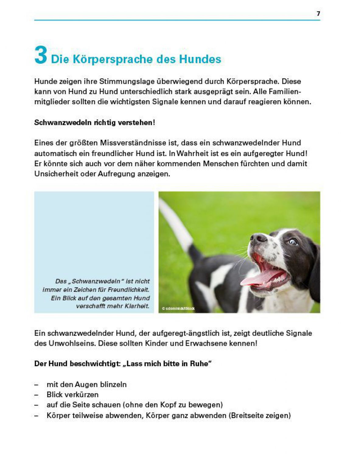 kind_und_hund_s7